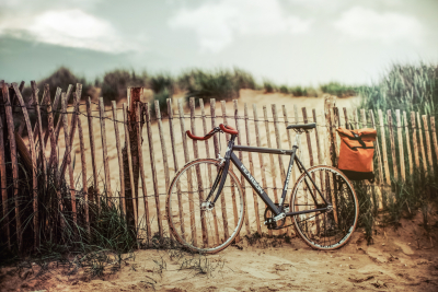 Il Gargano in bici, alla scoperta della cicoria